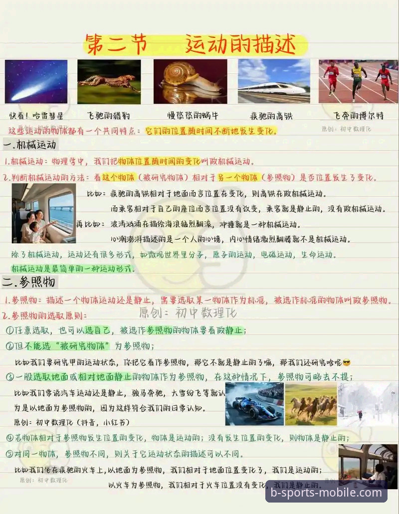 B体育功能特点常见问题完整指南：从入门到精通的实用解析